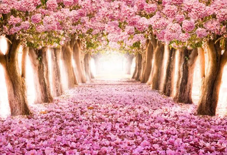 Laeacco розовые цветы дерево лепесток путь любовь Романтический ребенок портрет фото фоны фотосессия Фотостудия - Цвет: NCJ02688