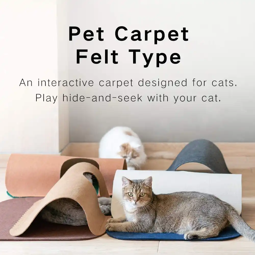 cat activity mat