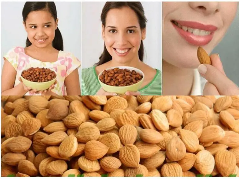 Миндаль бесплатная доставка 500 г свежие ядра горчичного абрикоса (с покрытиями