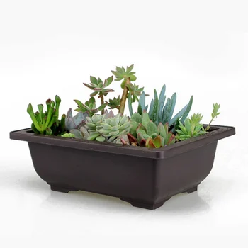 

PP Plastic Flower Pot Imitation Zisha Succulent Flower Pot Square Rectangular Succulent Flower Pot Creative Desktop Flower Pots1