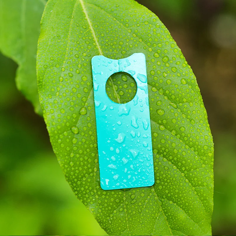 100pcs Garden Branches Labels Seedlings Tags Card Mark Vines Sign Board Plants Grape Plastic Multifunction Portable Melon Fruits