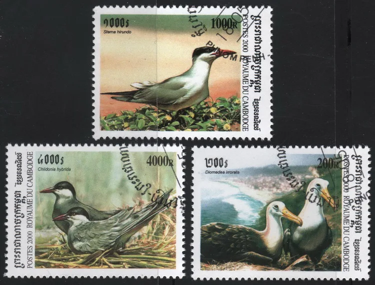 

3Pcs/Set Cambodia Post Stamps 2000 Birds Marked Postage Stamps for Collecting