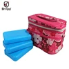 600ml Reusable Ice Brick Ice Block Ice Pack Cooler Milk Storage Camping Travel Fruit Cooler Box Portable Stay Fresh Ice Blocks 6