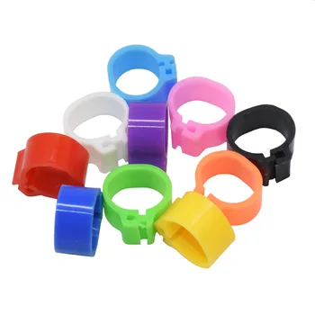 

100 pcs Pigeons Rings 10mm Bayonet Identification Ring Opening Pigeon Ring Color Pigeon Foot Ring Pigeon Supplies