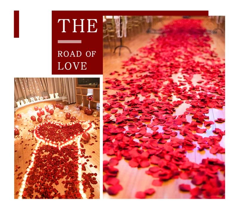 O1CN01WyQ68927hGyhBbaj2_!!349907828