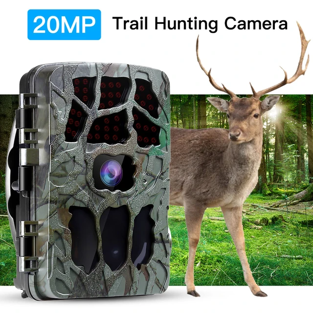 Deer Hunting Cameras