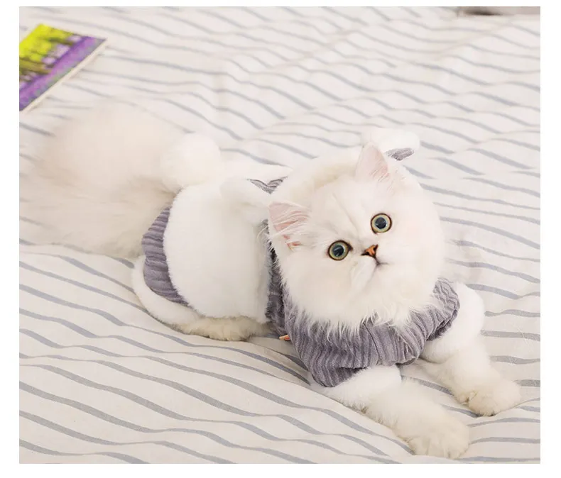Теплая одежда для кошек HOOPET, зимняя куртка для питомцев, щенков, котят, куртка для маленьких и средних собак, кошек, чихуахуа, одежда, костюм