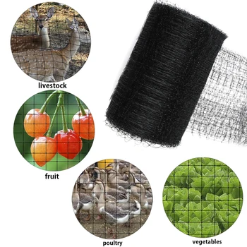 

Anti Bird Bird-Preventing Poultry Net Netting Protective Mesh For Crop Plant Fruit Vegetables Garden Mesh Protect Pest Control