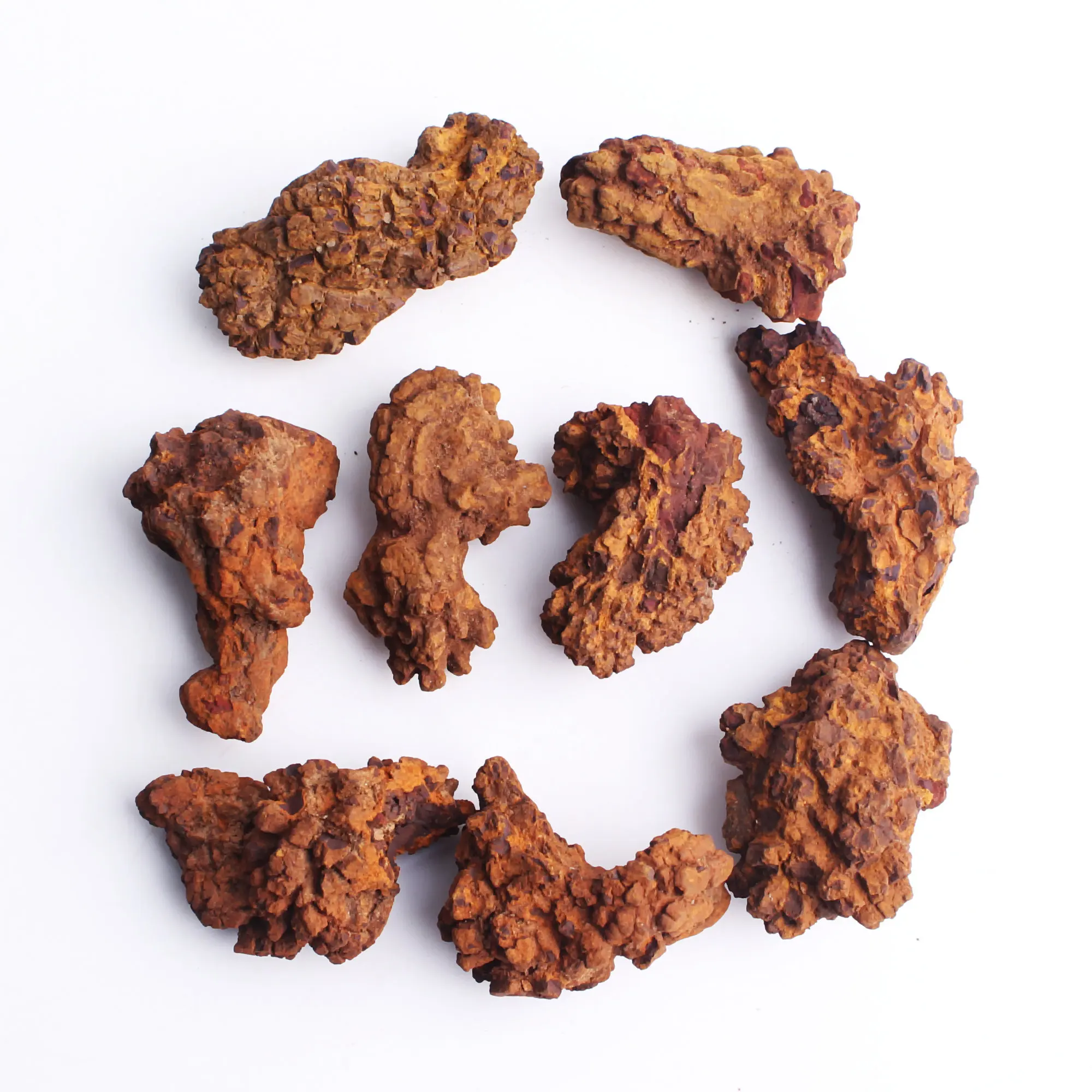 1 шт./2 шт. минерал образец динозавра|Камни| |