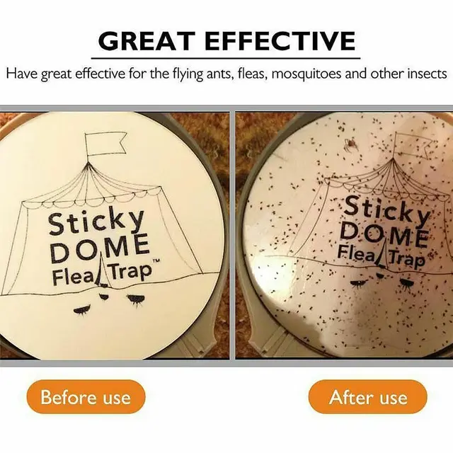 Csapdák+2 Izzók+2 Szuper Ragadós Tárcsák Bolhcsapda Háziállat Háztartási Bolha Lámpa Bolhák Csapda Gyilkos Fény - Image 6