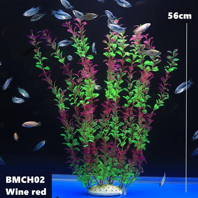 BMCH0267 (2)
