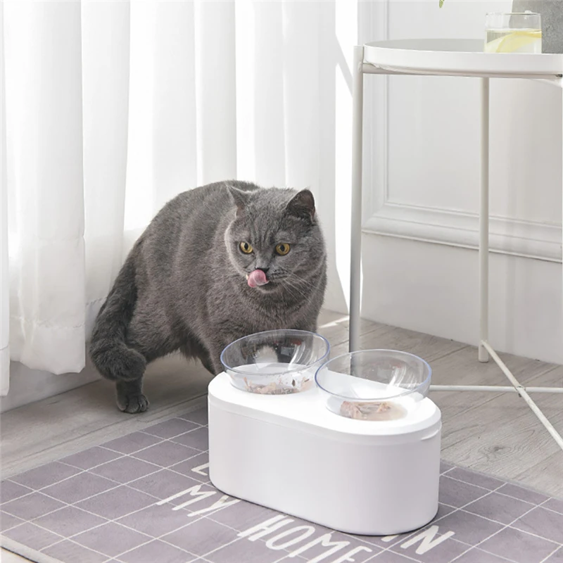

Double Cat Bowl 15°Tilted Raised Pet Food Water Bowls Stand Feeding Adjustable Raised Height Dog Snap Container Food Storage