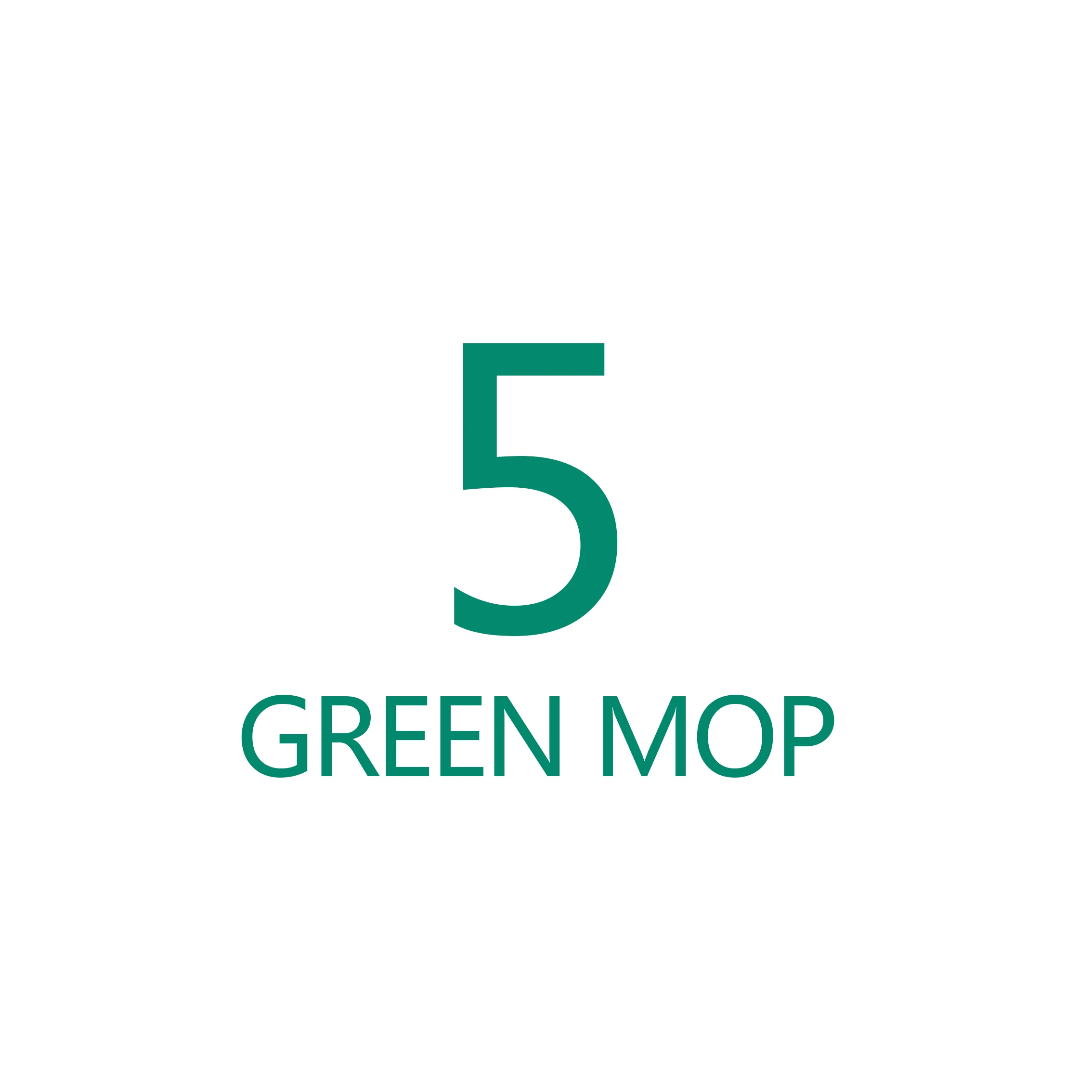 Дропшиппинг Волшебные мопы из микрофибры - Цвет: 5  GREEN