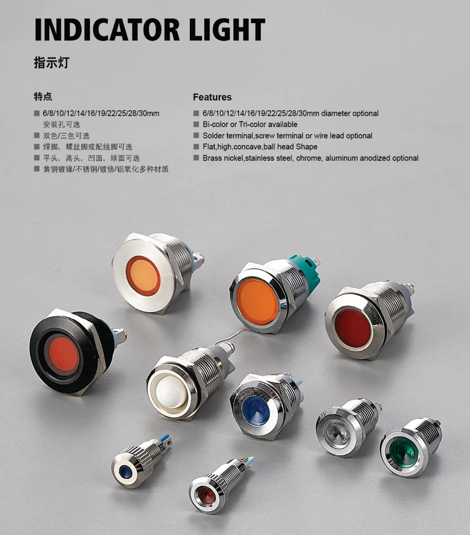 indicator lamp (2)