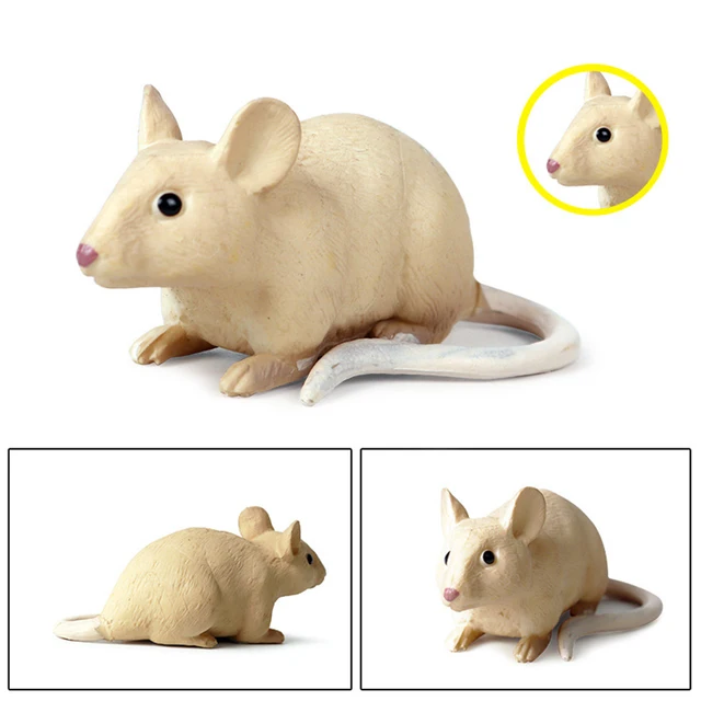 Realistic Mouse Rat Opossum Animal Model Figures Desk Decor Education Kids Toy 2