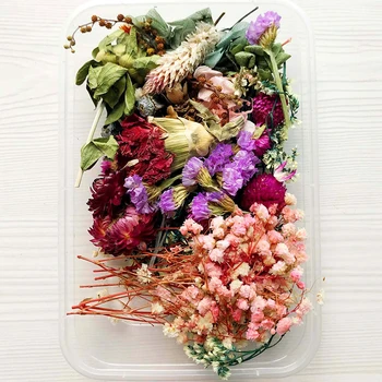 Dried Flowers Package For DIY Epoxy Decor Crafts Mixed Eternal Flowers And Leaves For DIY Aromatherapy Candles Cards Craft Decor 4