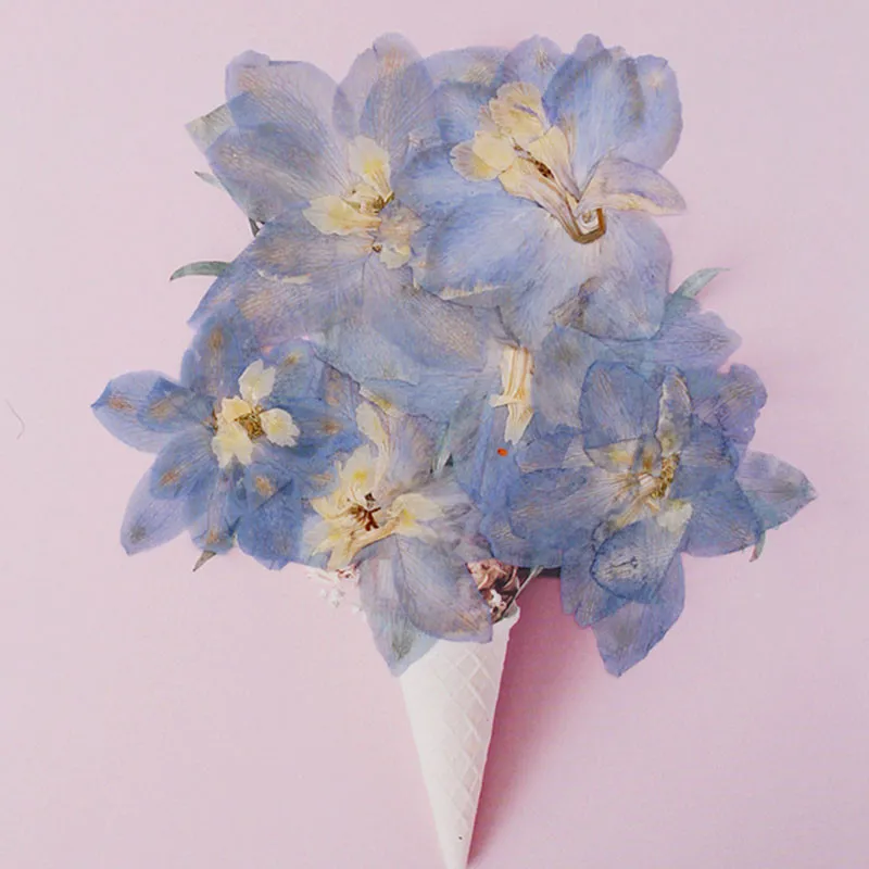 Light Blue Large Larkspur For Christmas Decoration Press Dried Flower