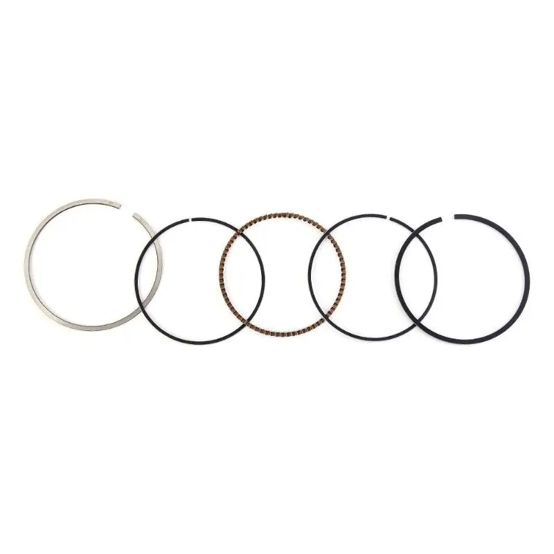 Piston Rings for Honda FourTrax Sportrax 300 TRX300X Standard Bore 74mm