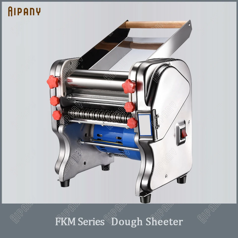 110V Stainless Steel Electric Noodle Making Pasta Maker, Commercial Dough  Roller Noodle Cutting Machine (Dough Width 22cm, Noodle Width 2mm/6mm) 