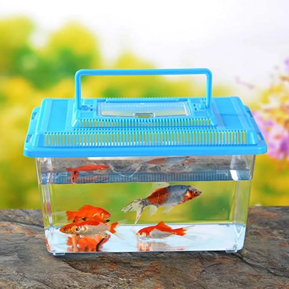 Goldfish Bowl
