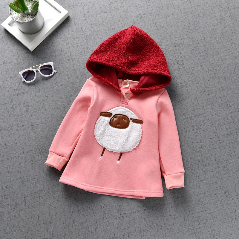 11642321558_1756465118