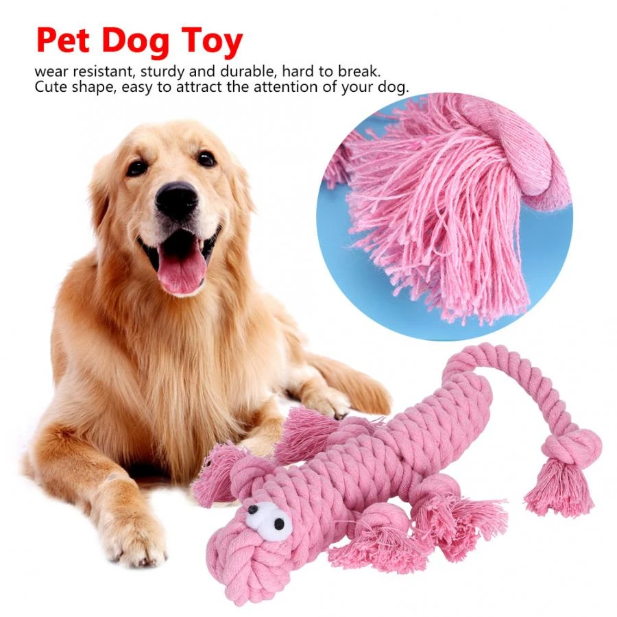 dog safe rope