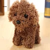 Size 9*8CM ,  Fluffy Dog Toy , 3Colors - Gift Stuffed Plush doll , Little Key Chain Pendant Gift ► Photo 3/6