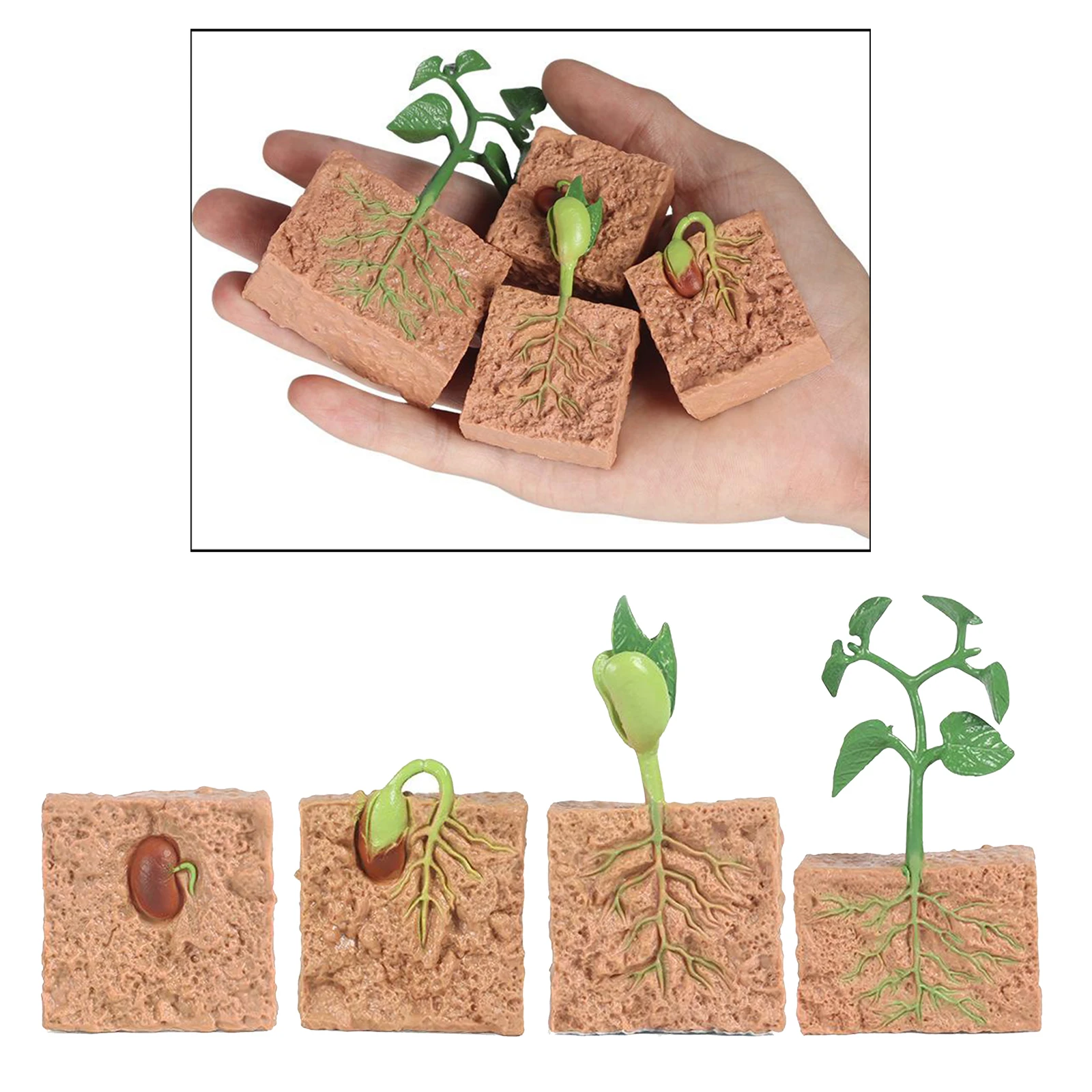 Kids Plant Seeds Growth Life Cycle Playset Cognitive Toys Teaching Aids