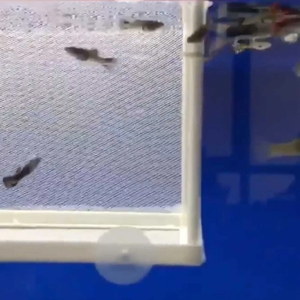 308204_no-logo_308204-1-05-g