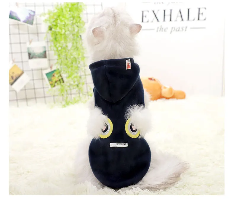 详情_O1CN01tGAZuO24Nd7CGR6KF___704407379