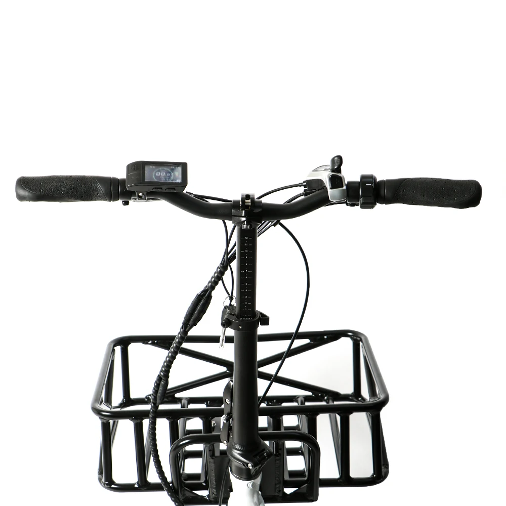 Груза падения США/CA 24 дюймов 48V750W грузовой Ebike с задним двигателем ступицы и 500C красочный дисплей для семьи или UberEats