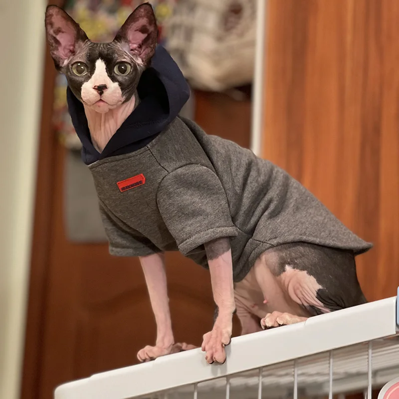 Gucci Cat Clothes  Luxury Gucci Coat for Sphynx Hairless Cat ?