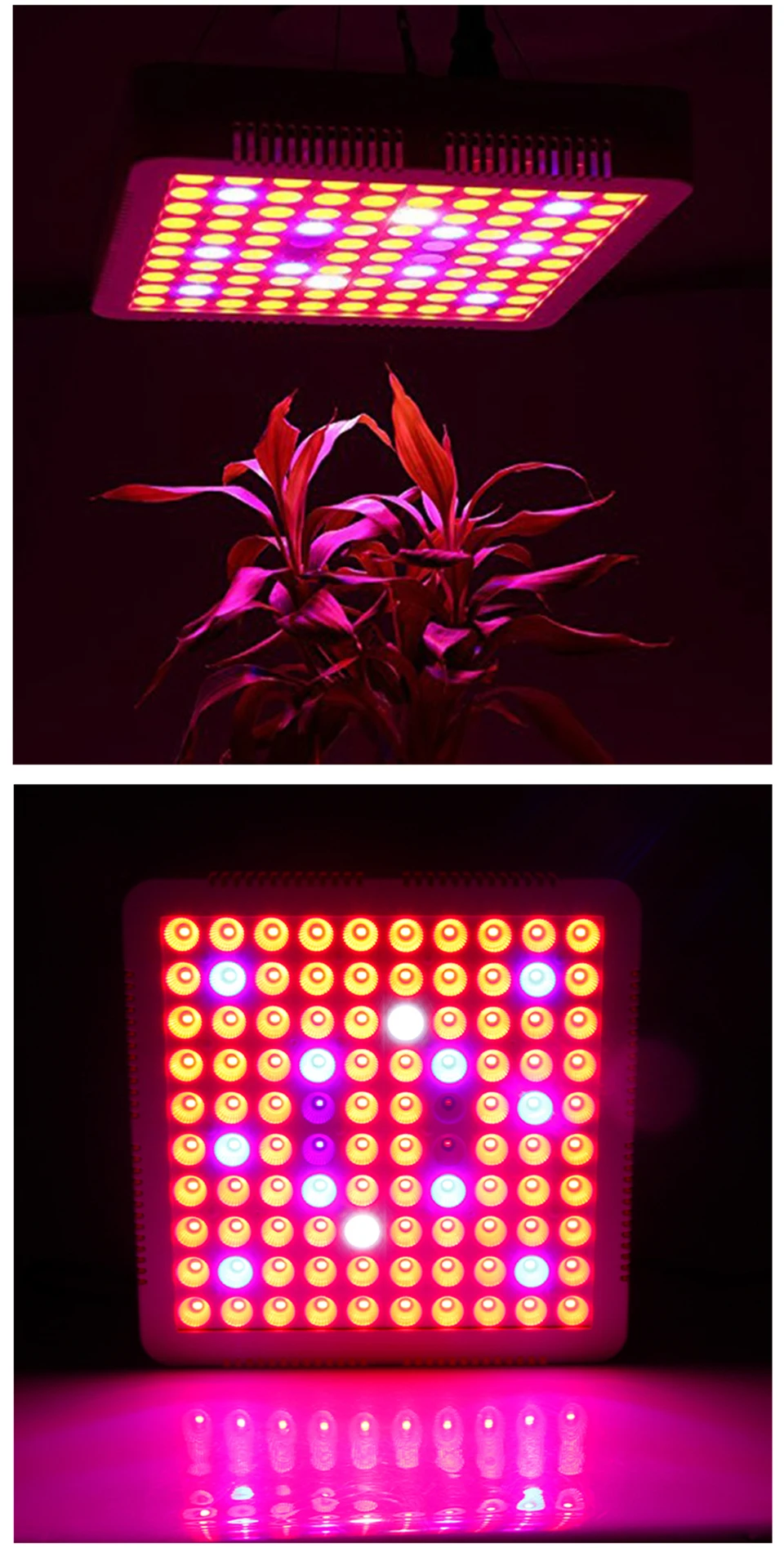 Синхронизации Светодиодный лампа для растений лампа Fitolampy 2000 Вт 100 светодиодный полный спектр Крытый сад для цветочные семена Fito Phyto выращивание