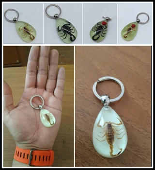 

Motorcycle style scorpion luminous wear key chain crafts accessories for CALIFORNIA Custom TouRing Classic ELDORADO GRISO MGX21