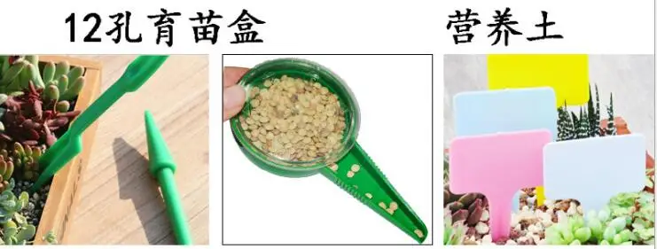 Пластик сад лотки для посева