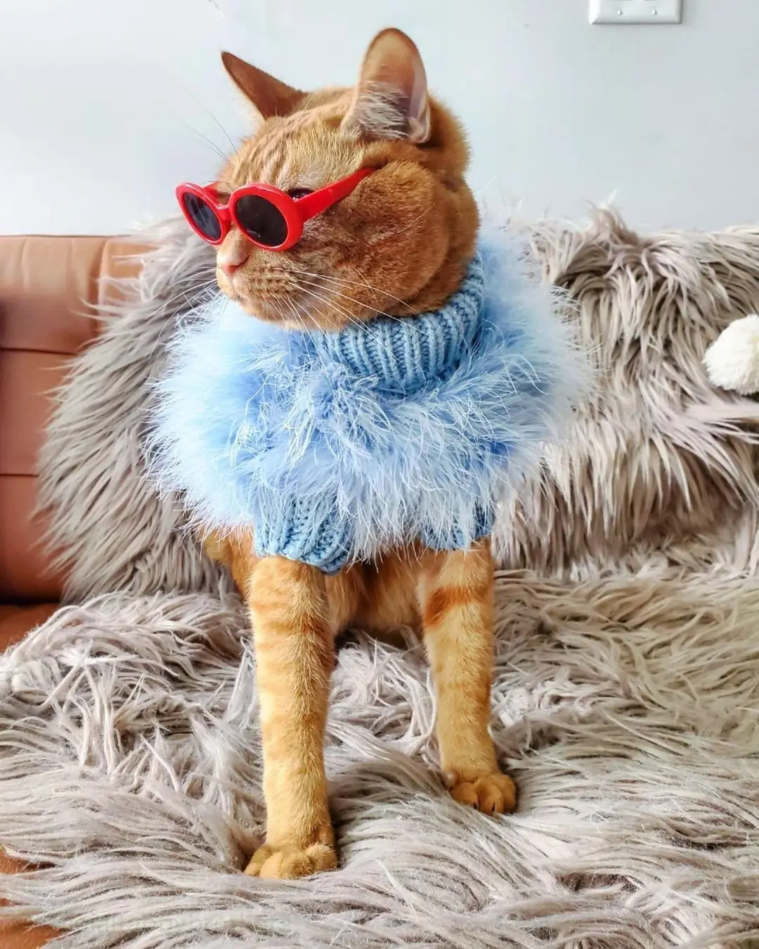 Ins Luxe Noble Lady Hond Trui Europese Amerikaanse Stijl Turkije Jas Voor Internet Celebrity Kat Hond Bulldog Pug Warm Pet kleden
