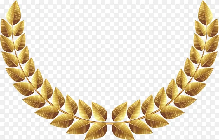 剪贴画湾月桂树png图片图像摄影 月桂树叶png图片素材免费下载 图片编号664 Png素材网
