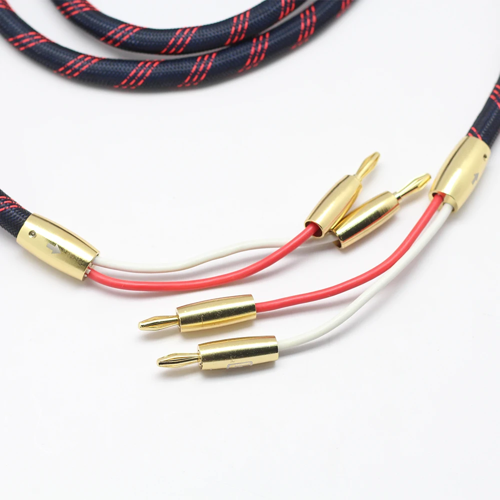 Speaker Cable HIFI Audio Audiophile High Fidelity