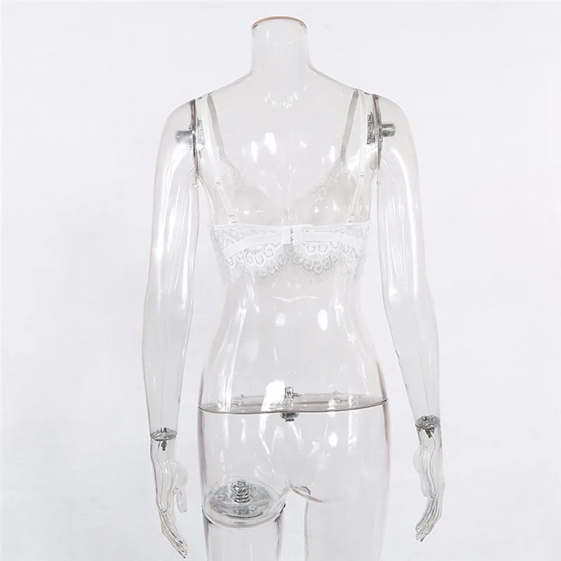 12321685781_1175585341