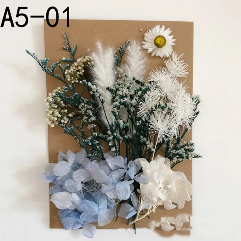 1 упаковка натуральные свежие консервированные цветы, DIY пресс цветочные для фоторамки карты Подарочная коробка Свадебный декор, подарки на день Святого Валентина - Цвет: 1