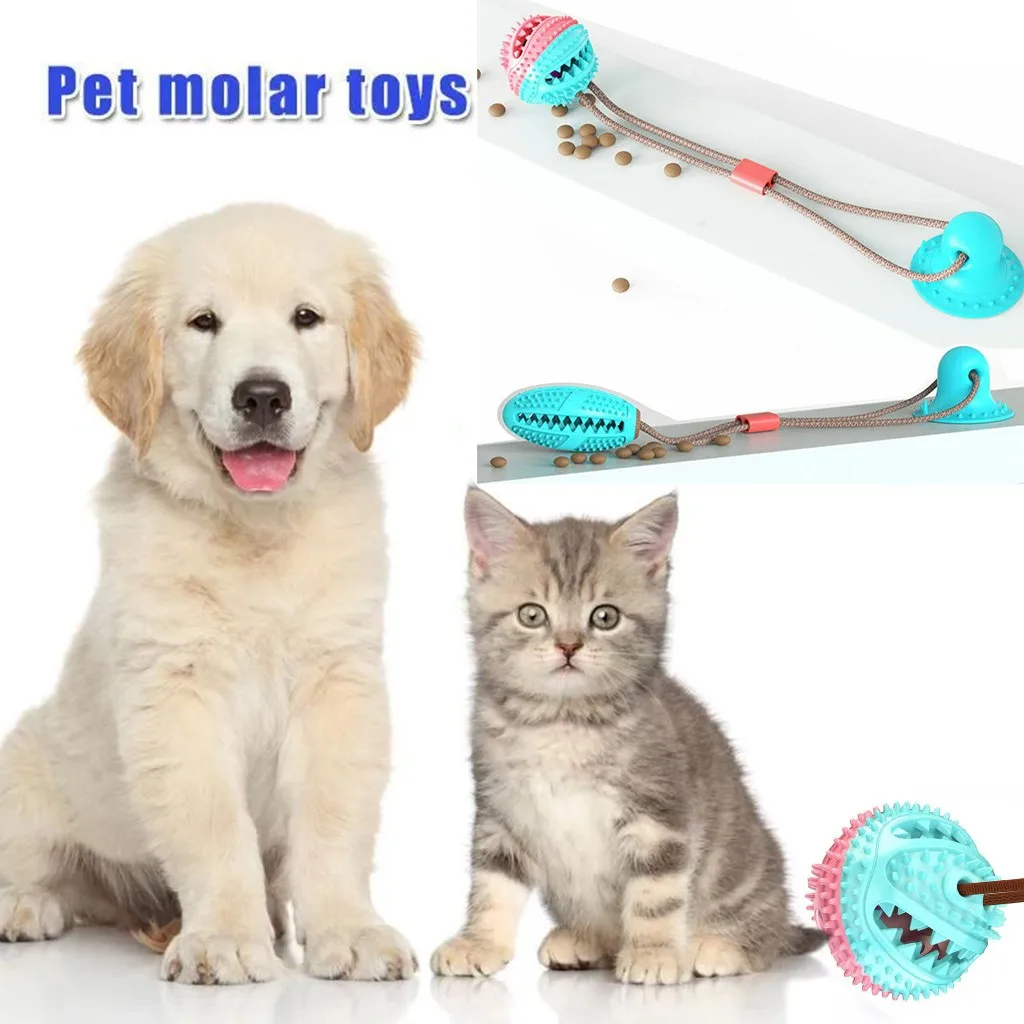 Pet Toy With Suction Cup Dog Molar Chew Self-playing TPR Ball With Tpr Self-playing Suction Cup Teeth Cleaning Pet Supplies