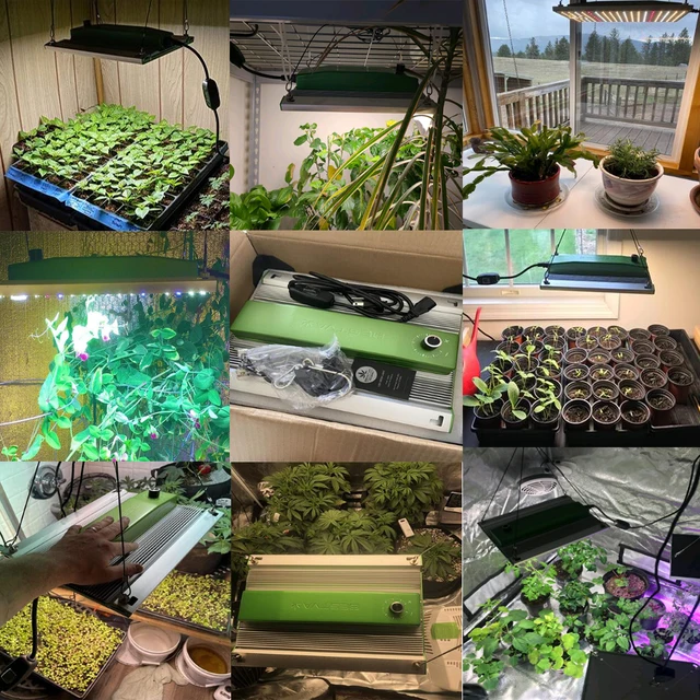 Bestva 1000W/2000W/4000W Teljes Spektrum Led Grow Light Lm301B Dimmable Quantum Board Phytolamp Beltéri Növényekhez - Image 6