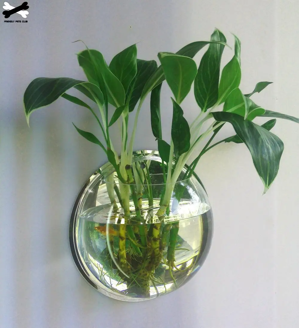 Mount Fish Tank Wall-Hanging Fish Bowl Decoration Planter Pet Supplies Acrylic Aquarium fish aquarium