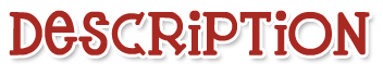 Женская Осенняя кружевная открытая атласная шелковая Лоскутная Кнопка глубокий v-образный вырез Кружевной укороченный Топ с длинным рукавом сексуальные футболки блузки