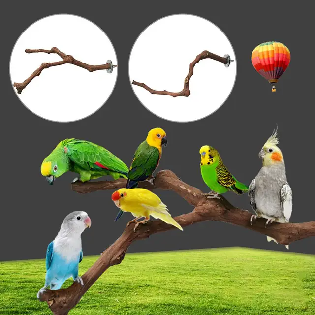 Pet Parrot Bird Standing Stick Wild Grape Wood Pole Bird Cockatiel Parakeet Perches Bite Claw Grinding Toy Bird Cage Accessories 1