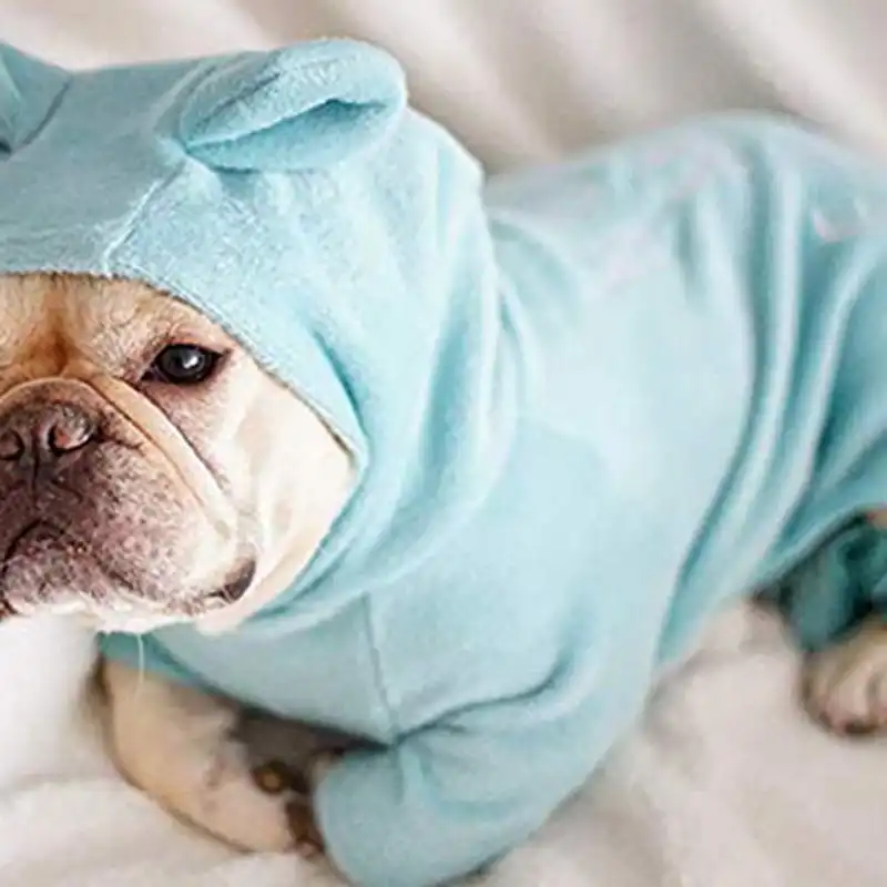 english bulldog pajamas