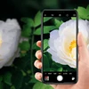 Mobile Phone Accessories