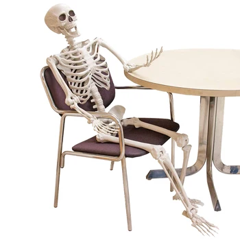 

Prop Hanging Artificial Human Skeleton Horror Halloween Party Full Life Size Crafts Body Home Poseable Haunted House Decoration