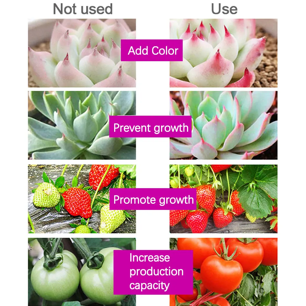 LED Grow Light Bulbs - Full Spectrum Indoor Plant Lighting for Greenhouse & Hydroponic Seeding (3 Pack)