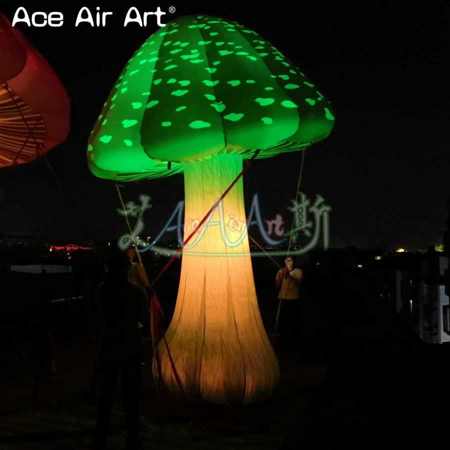 QQ图片20190617220657_副本_副本